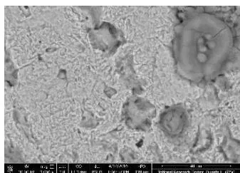 Fig. 11: SEM image illustrated inter-granular corrosion after immersion the specimen in 1M HCl one day