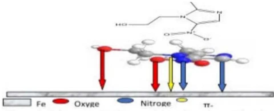 Fig. 12: Schema model illustrated the adsorption of the metronidazole structure on the MS surface.