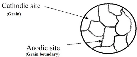 Fig. 10: Schema models of metalα- phase