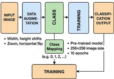 Figure 2: Model Architecture