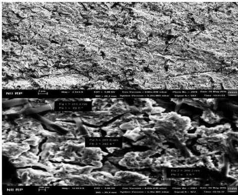 Figure 3: SEM analysis of the samples of electrochemically obtained Re-Se-Cu thin films on platinum electrode at 343 K, for 1800 sec in +0.5V potential.