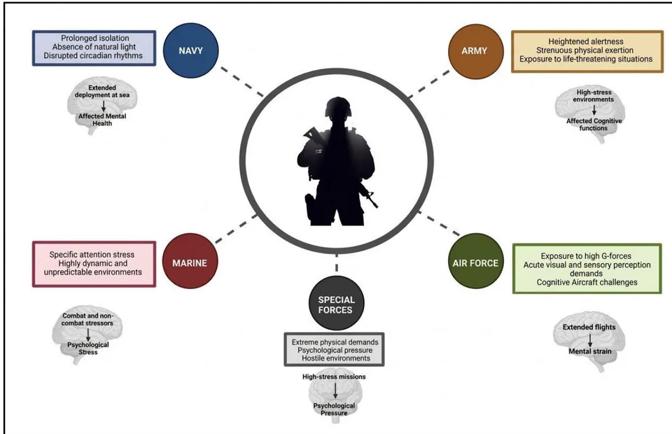 Figure 1: Challenges Faced By Different Soldiers Based on their Armed Forces Roles (Tornero-Aguilera et al., 2024).