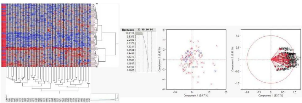 Figure 3: The two-way clustering and PCA of SM1 of Breast (GSE42568)