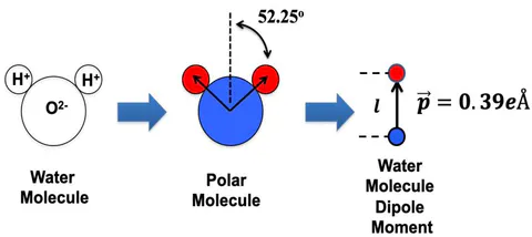 Fig. 6: Water is a very polar molecule with a dipole moment of 0.39eÅ.