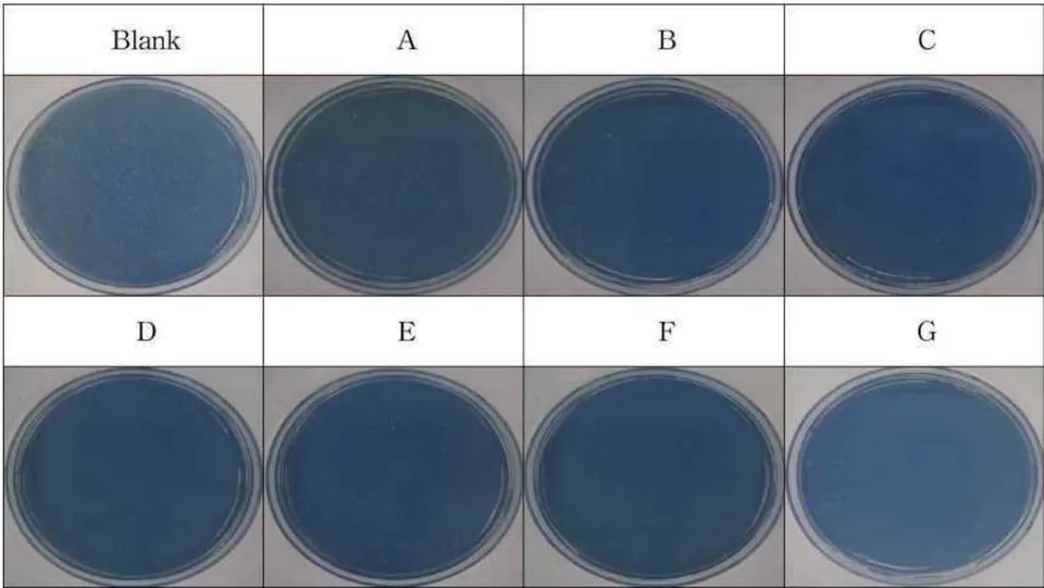 Figure 12: Comparison of antibacterial activity against Staphylococcus aureus of Chamaecyparis obtusa leaf extract Figure 13: Analysis of the antibacterial properties of Chamaecyparis obtusa leaf for Staphylococcus aureus