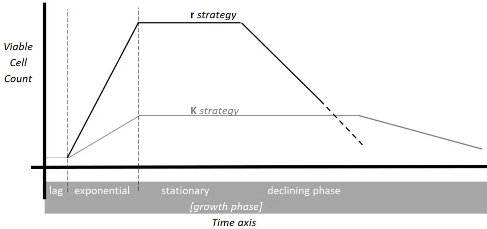 Figure 2: Prokaryote principal growth (reproduction) strategies.