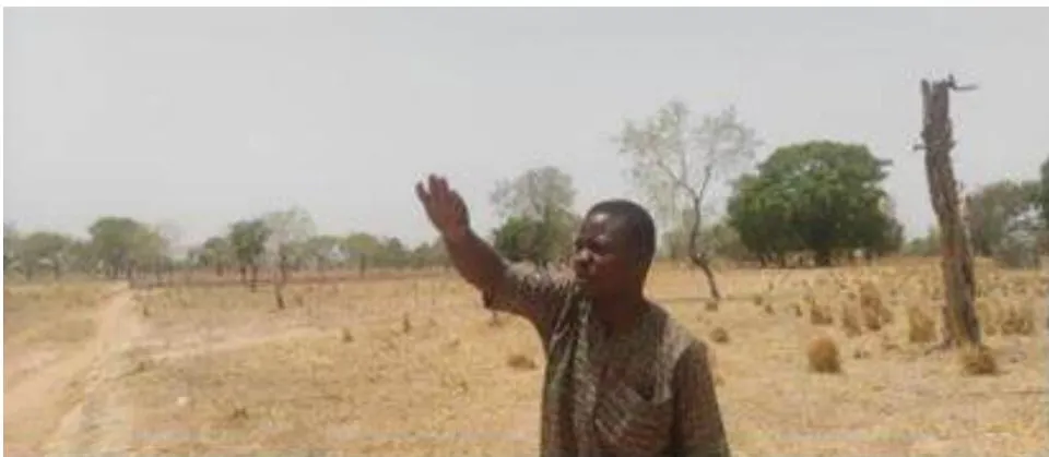 Figure 5: Dry river beds, eroded river banks and degraded gallery forests in the Faro National Park, landscape, North region Figure 6: Agricultural fields in the north region suffer from low organic matter, tree cover, high insolation, desertification and high exposure