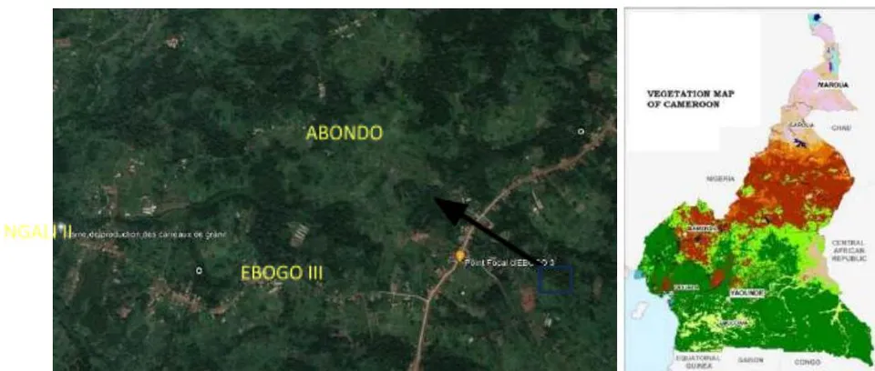 Figure 4: Forest transition agroforestry landscape opportunities for restoration