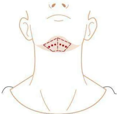 Figure 1: Application Points in the FSA
