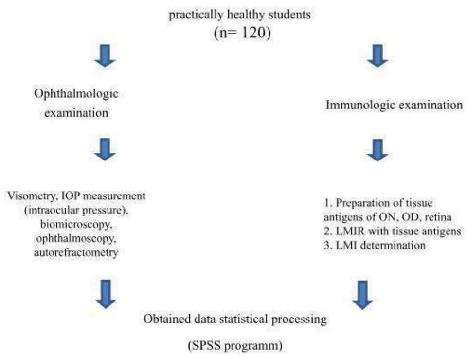 Figure 1: Design of Investigation Ethics Approval