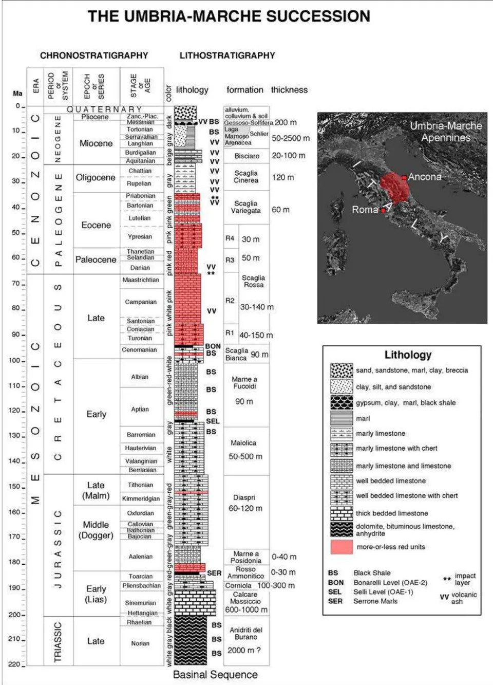 Figure 3: The lithostratigraphic succession of the Umbria-Marche Apennines.
