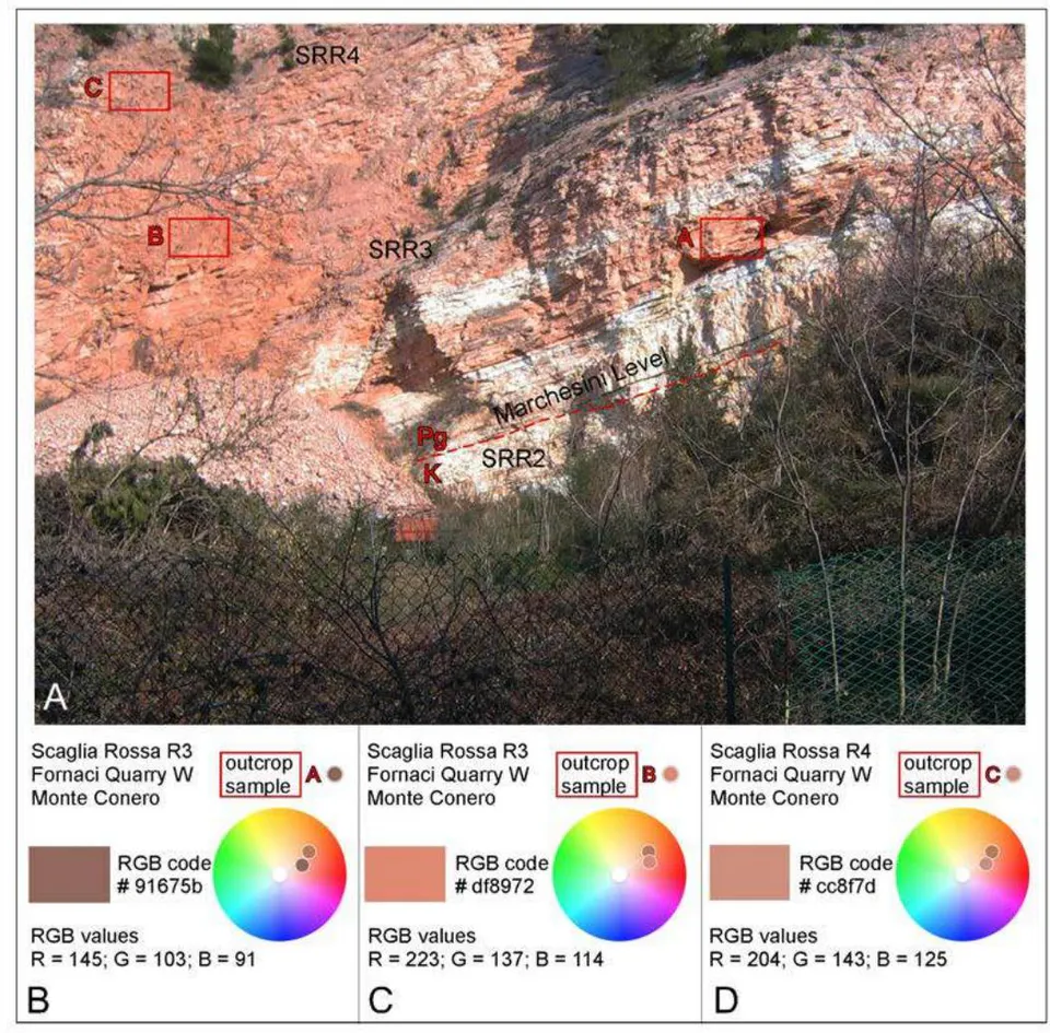 Figure 11: (A) Panoramic view of the Scaglia Rossa exposed in the disused quarry front of Fornaci, on the right side of the Betelico Creek valley near Poggio di Ancona of Monte Cònero (Burattini 2019). The results of RGB chromatic analyses of sampled areas indicated by red rectangles on the panoramic picture, are respectively reported in (B), (C), and (D). SRR2, SRR3, and SRR4 refer to the R2, R3, R4 members of the Scaglia Rossa Fm (see fig. 5).