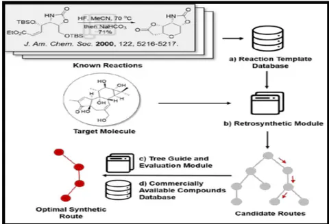 Figure 2: The typical elements of a CASP Program