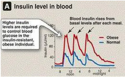 Figure 2: Blood Insulin Level in People with Normal Weight and Obesity [10]