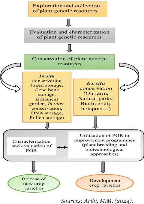 Fig 8: In-Situ and Ex-Situ conservation of Varieties