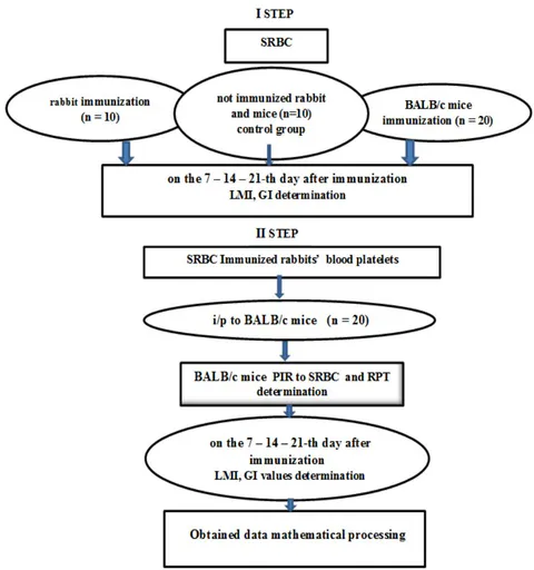 Fig. 1: Design of Investigation