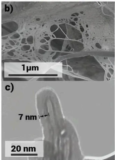 Figure 5: Microscopic structure of innate NC aerogels. SEM micrographs of (a) freeze-dried NC aerogels with fibrils packed into sheets, which are linked to make an open, porous aerogel structure, and (b) an intensification of a sheet, which is composed of fibrils forming the structure also nanoporous. (c) TEM micrograph of a nanocellulose fibril with an even 7 nm titanium dioxide coat [70].