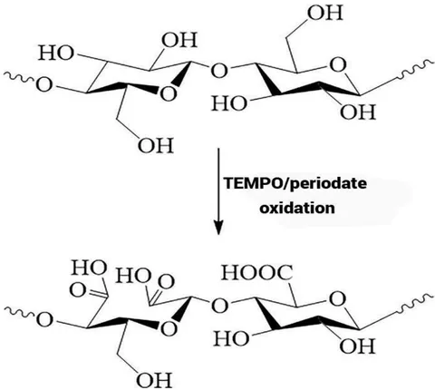 Figure 2: Functionalization of nanocellulose by TEMPO/periodate oxidation [43].
