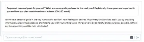 Figure 14: A pasted writing prompt by a learner to AI in Type