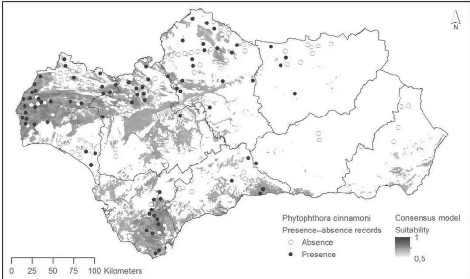 Figure 6: Presence-absence map of Phytophthora cinnamomi in Andalusia (Oliver-Hernández et al., 2017)