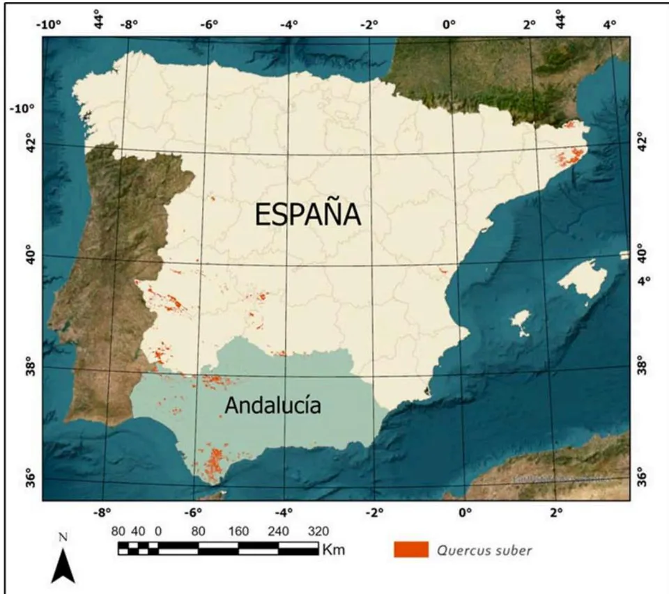 Fig. 3: Current distribution of the cork oak (Quercus suber) in Spain (in red).