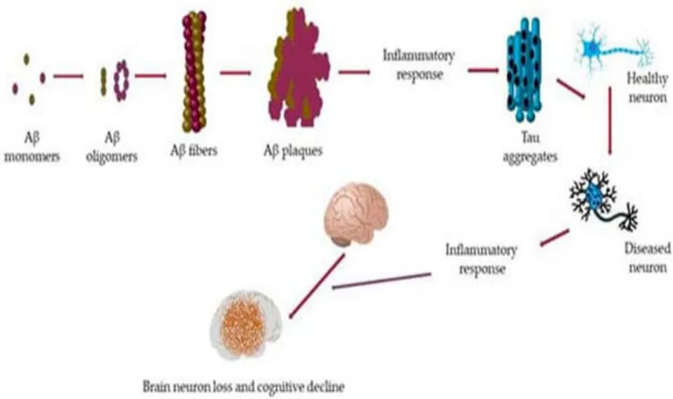 Figure 3: Role of Mangifera Indicain Neurodegenerative Disease