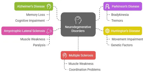 Figure 4: Neurodegenerative Disorder Types IV. MATERIALS AND METHODS