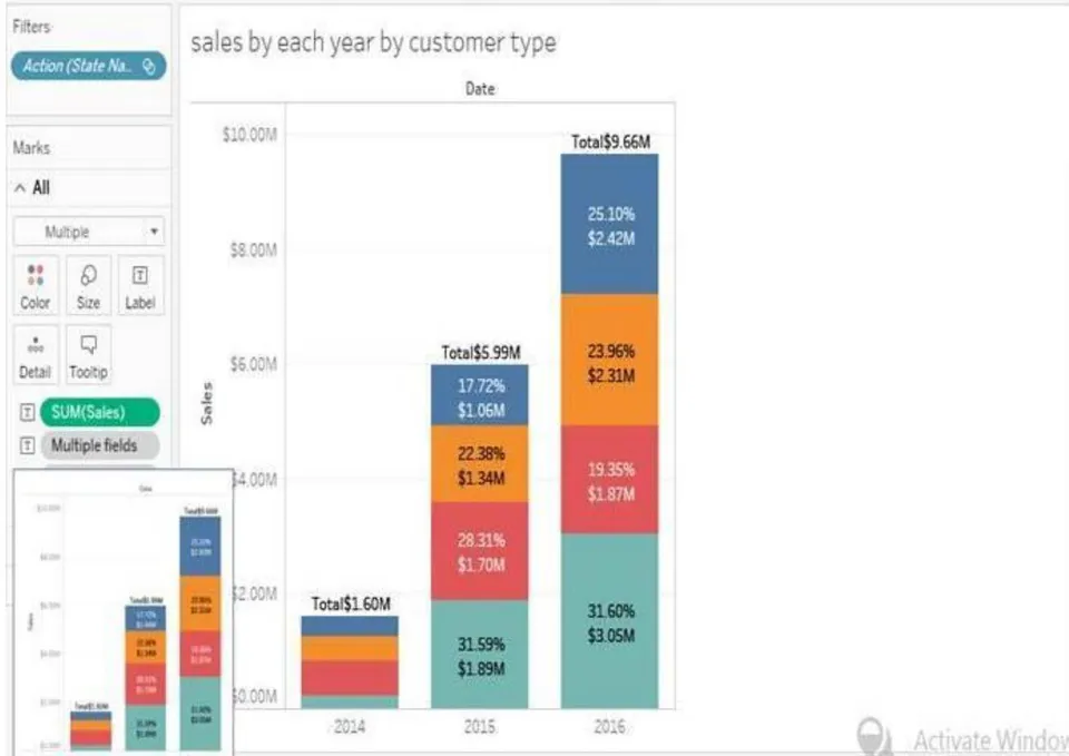 Fig.4: Data Visualizations showing sales by each year and by customer type