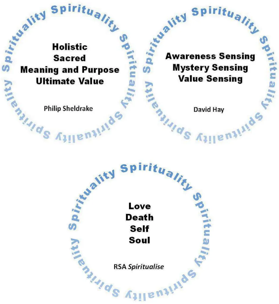 Fig. 1: The three models of spirituality of Sheldrake, Hay and Spiritualise