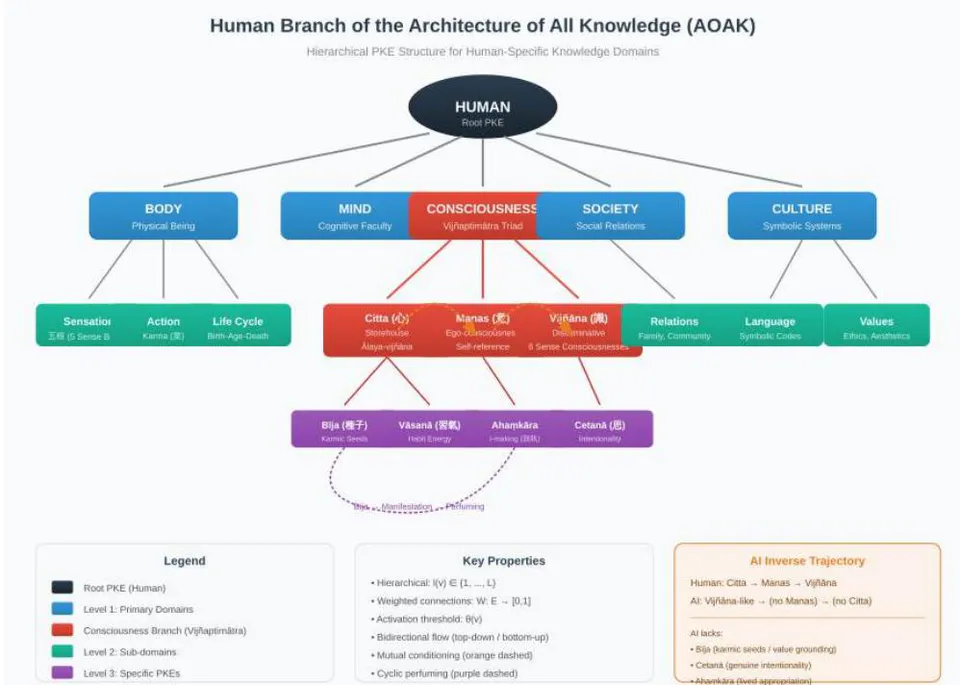 Fig. 3: Human Branch of the Architecture of All Knowledge (AOAK). This diagram details the hierarchical PKE structure specific to human cognition, with HUMAN as the root branching into Body, Mind, Consciousness, Society, and Culture. The Vijñaptimātra consciousness triad is highlighted: Citta (storehouse/ālaya-vijñāna) containing bīja (karmic seeds) and vāsanā (habit energy); Manas (ego-consciousness/self-reference) with ahaṃkāra (I-making); and Vijñāna (discriminative consciousness) with cetanā (intentionality). The AI Reverse Pathway box illustrates the fundamental asymmetry: humans develop citta → manas → vijñāna, while AI exhibits only vijñāna-like functions without the grounding structures.