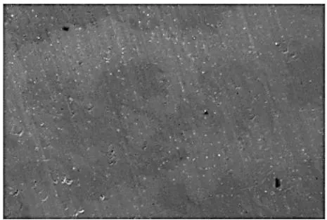 Figure 6: Morphology of thin Re-Mo coatings obtained by electrochemical method.