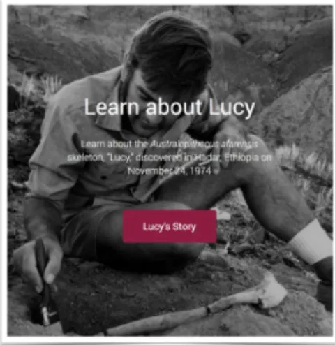Figure 3: Despite the implications of this photograph, all the Lucy bones were lying loose on the surface. Image from the Institute of Human Origins