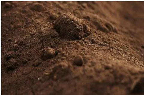 Fig. 10: Fine soil