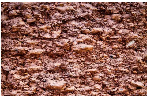 Figure 8: Soil map of Gudumadanahalli Fig. 9: Loamy skeletal