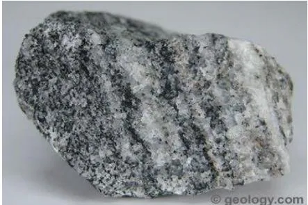 Fig.5: Tonalitic Gneiss