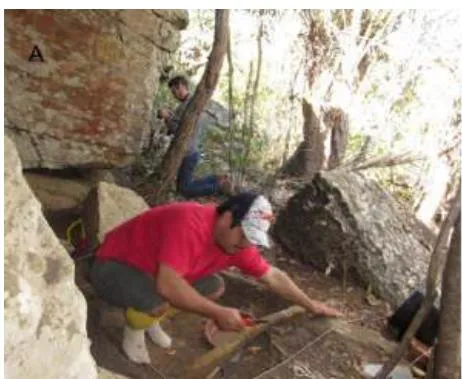 Figure 6: Archaeological sites and landscapes in Serra Negra, Brazil: (a) TrêsFronteiras 8 archaeological site; (b) Regional landscape of Serra Negra; (c) Matão Mountain; (d) Landscape of TrêsFronteiras; (e) Pedra Menina Mountain; (f) Ambrósio Mountain; (g) Cactus (Opuntia sp.) in situ; (h) Aerial landscape view of Cabeças archaeological sites