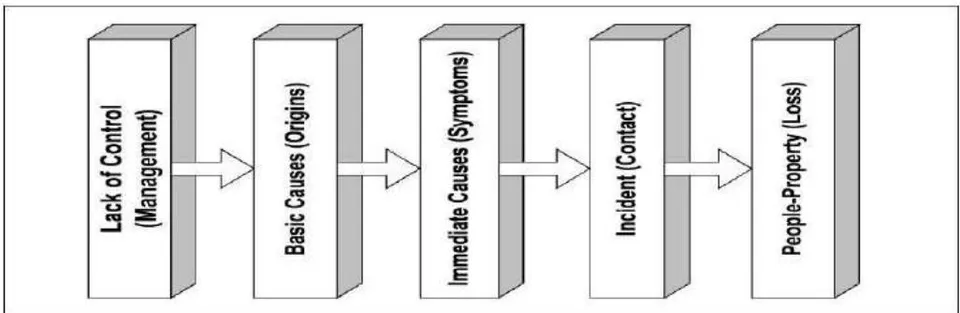 Figure 5: Updated Domino Sequence (Bird and Loftus, 1974)