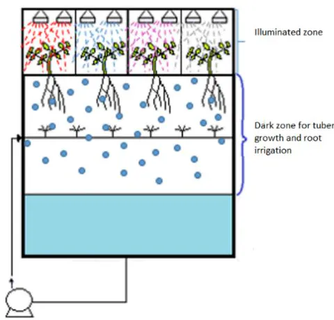 Figure 1: Aeroponic chamber scheme for potato growth