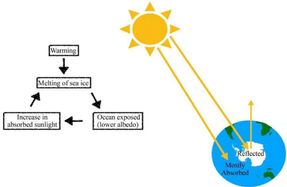 Figure 9: The figure explains why the Arctic is melting faster (By Tovarg, Own work, CC BY-SA 4.0, https://commons.wikimedia.org/w/index.php?curid=79657236).