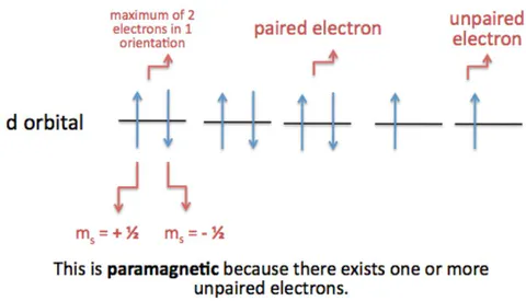 Figure 1: Electron Spin