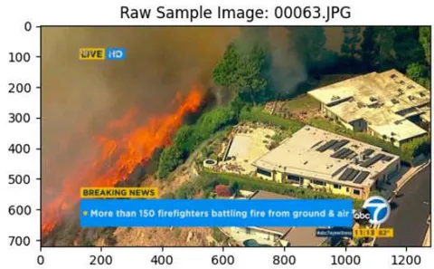 Figure 1: Raw Sample Images