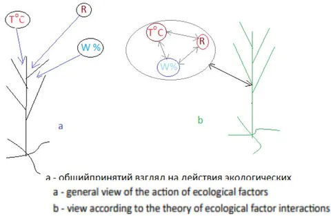 Fig. 15: Various Hypothetical Information Models Reflecting the Impact of Environmental Factors on Plants